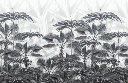 Black and White Tropical Wallpaper Murals