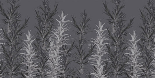 Grey Dracaena Wallpaper Murals