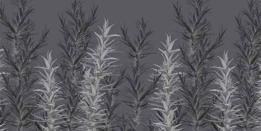 Grey Dracaena Wallpaper Murals