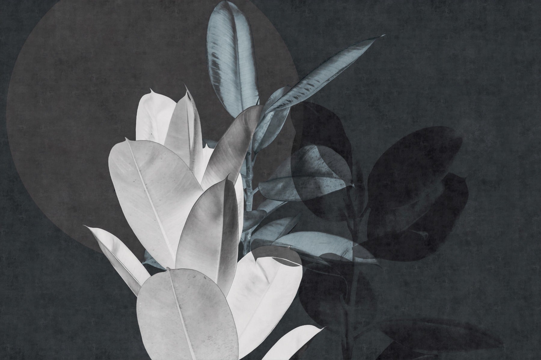 Leafscape Wallpaper Murals