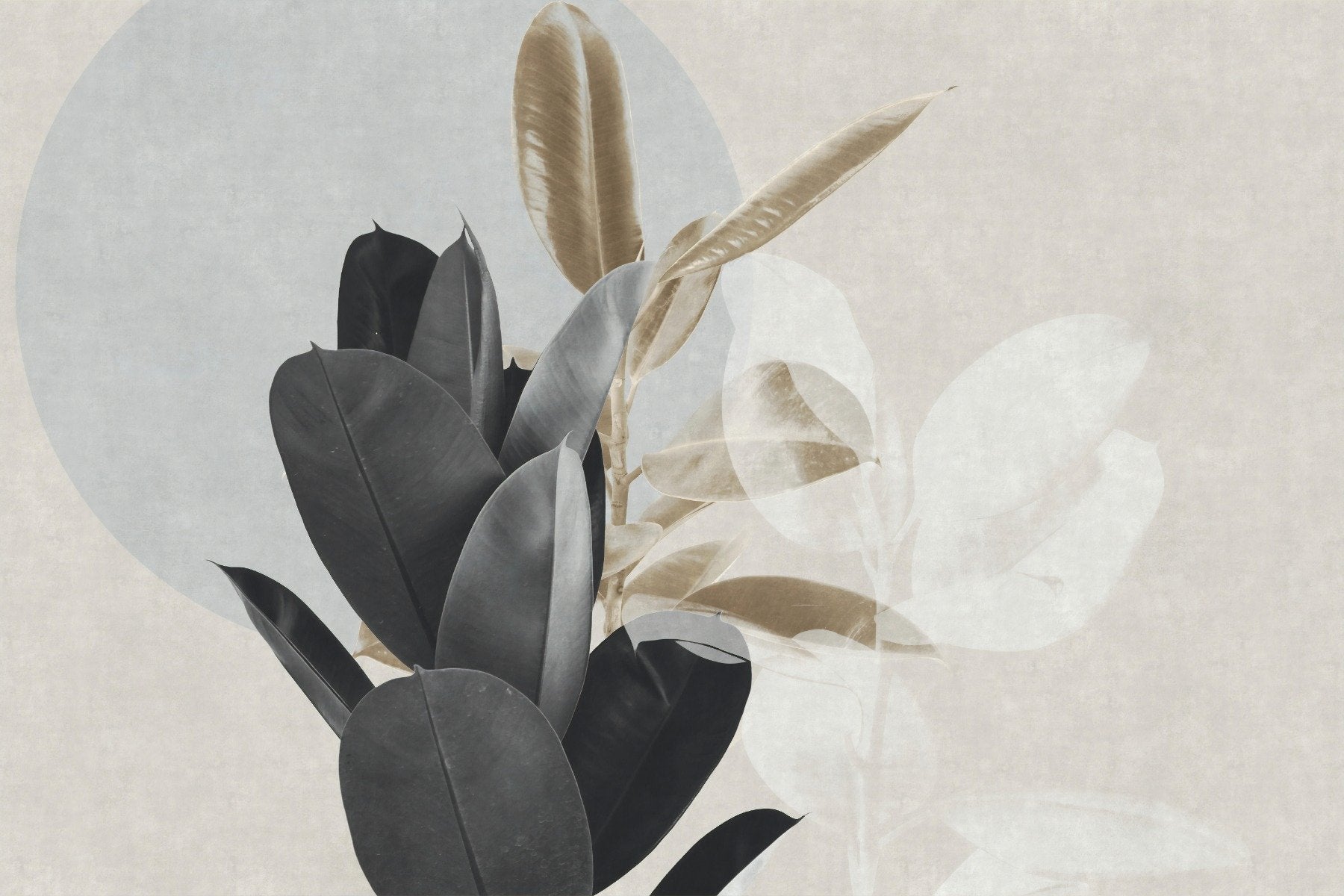 Alluring Dust Aesthetic Art Wallpaper