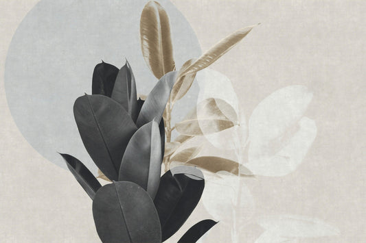 Alluring Dust Aesthetic Art Wallpaper