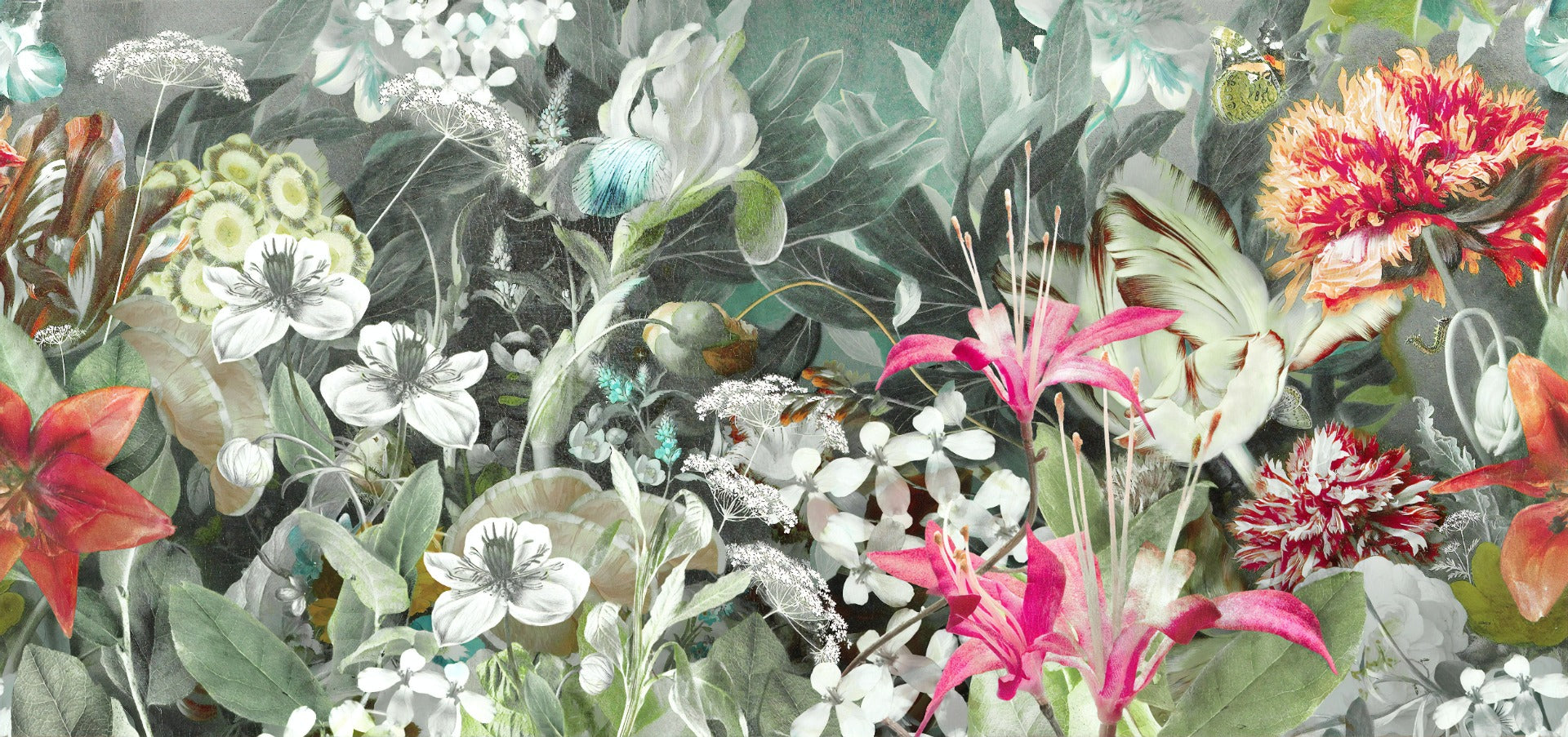 Wild Havana Garden Flower Wallpaper