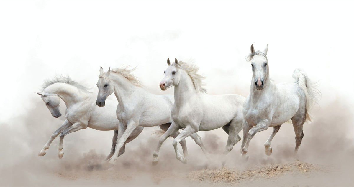Running Horses Wallpaper Murals in your room — zoomed