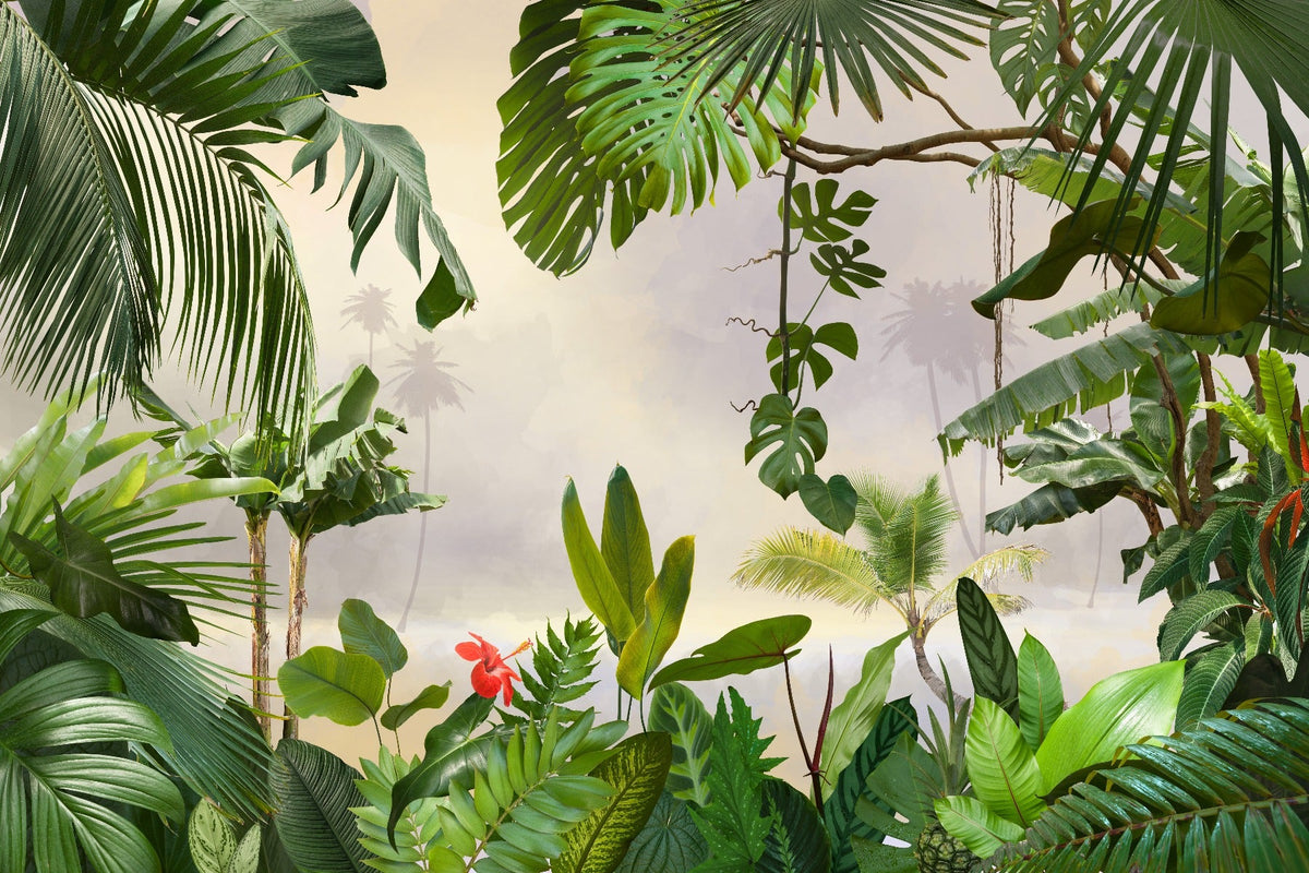Green Tropical Forest Trees Wallpaper Murals