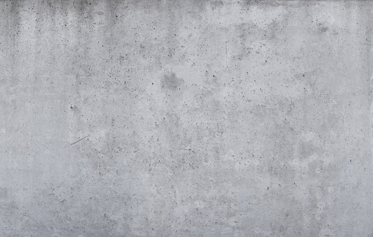 Industrial Gray Color Concrete Wallpaper Mural in your room — zoomed