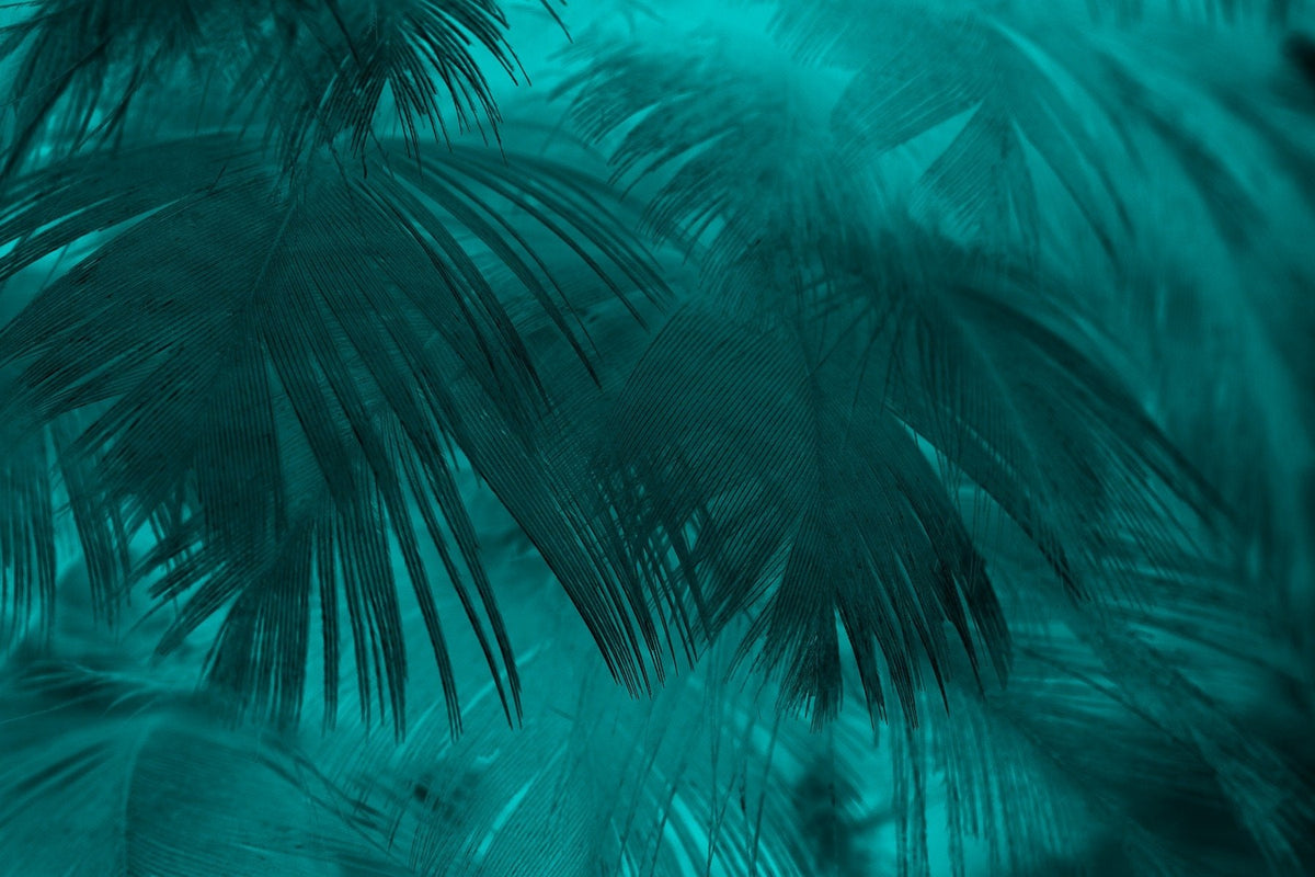 Turquoise Color Palm Tree Leaves Wallpaper Murals