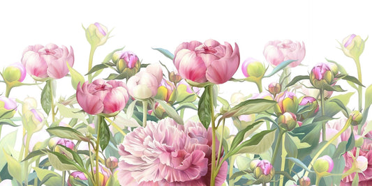 Delicate Peonies Wallpaper Murals