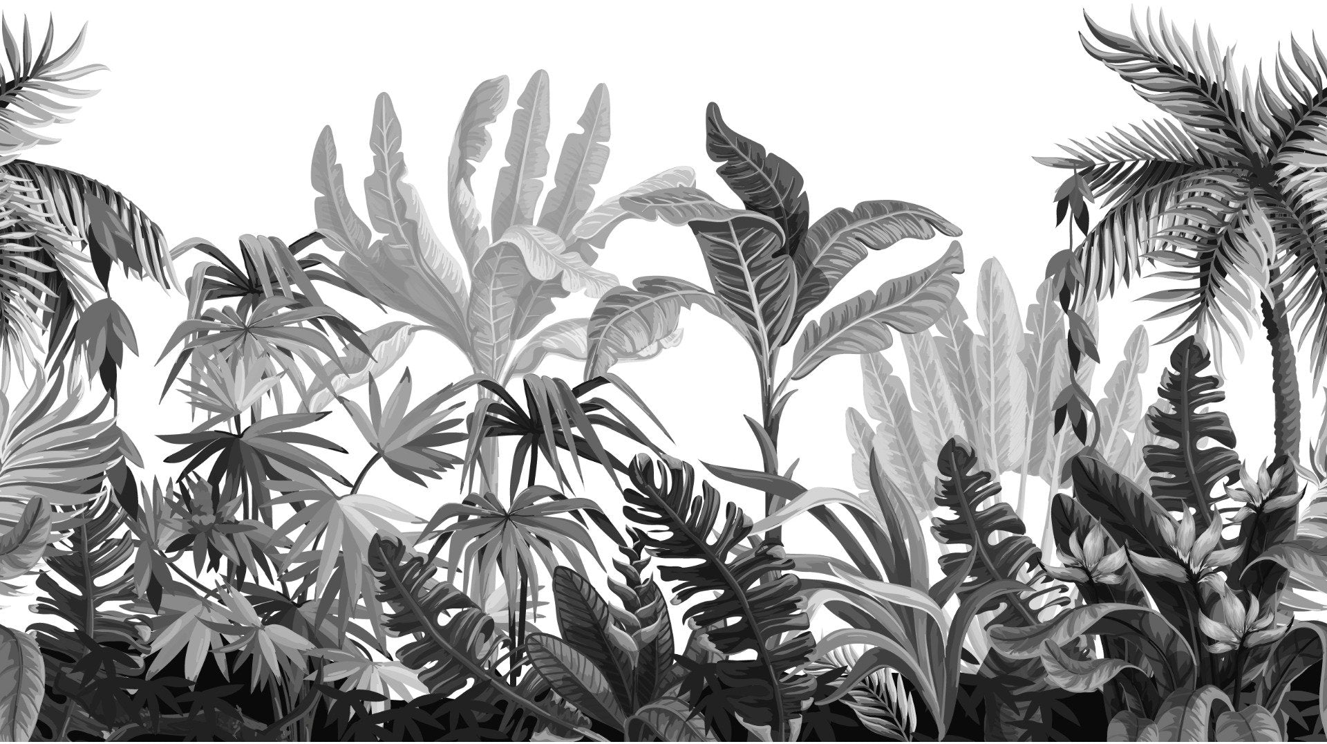Black & White Tropical Banana Leaves Wallpaper Mural