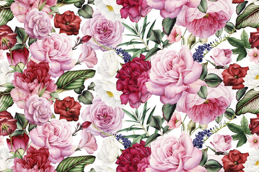 Trendy Pink and Red Rose Wallpaper