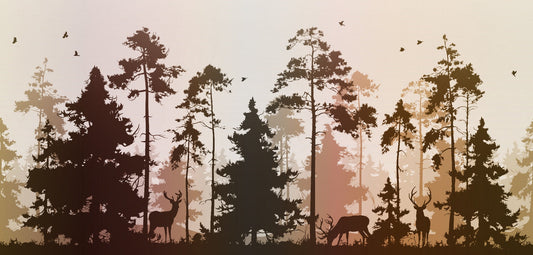 Pine Forest Deer and Birds Nature Wallpaper Mural