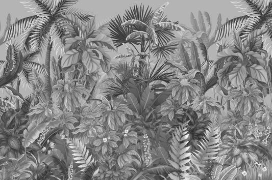 Black and White Color Plant Life Wallpaper Mural
