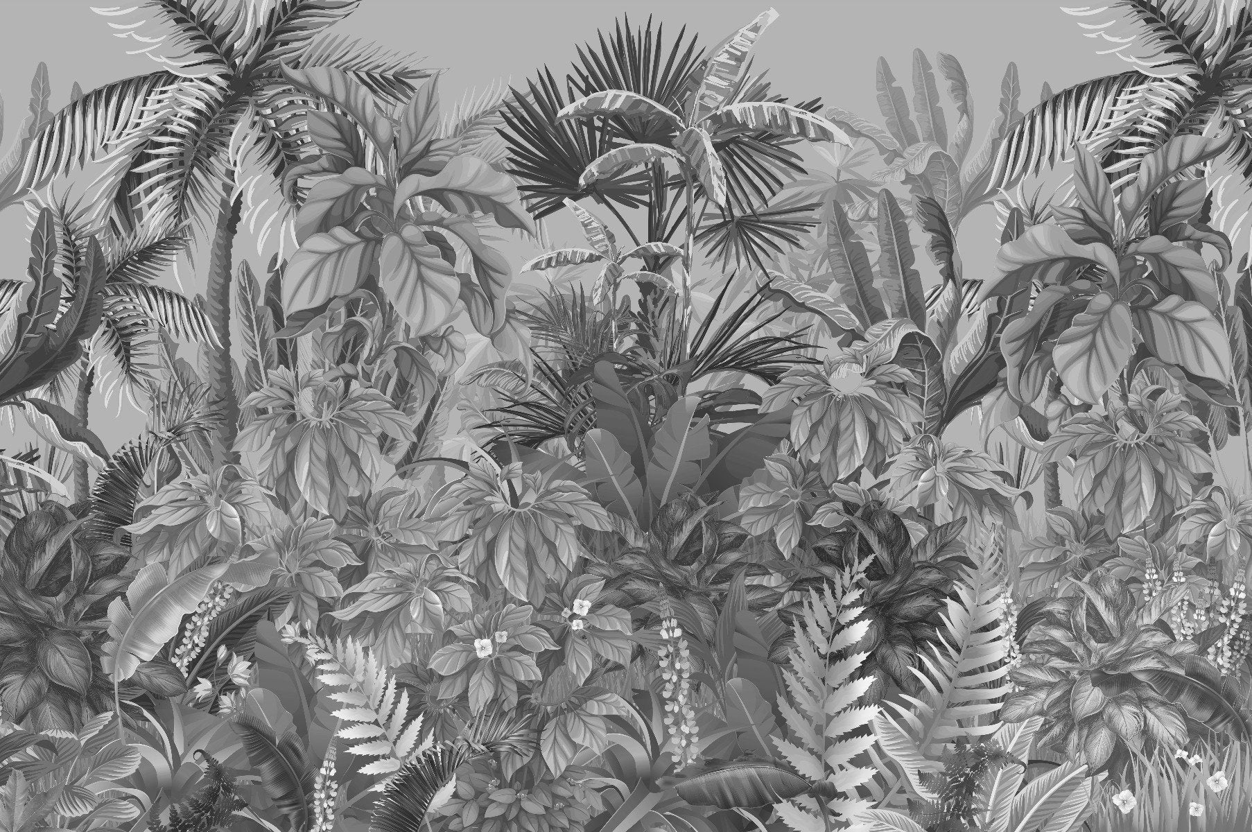 Black and White Color Plant Life Wallpaper Mural