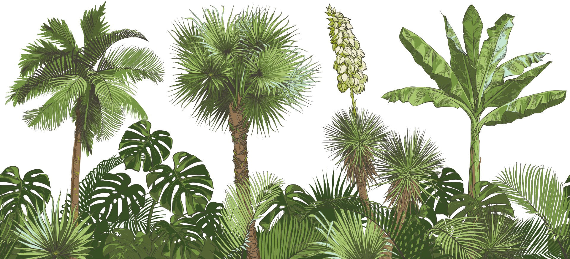 Tropical Palm Leaves Monstera Wallpaper