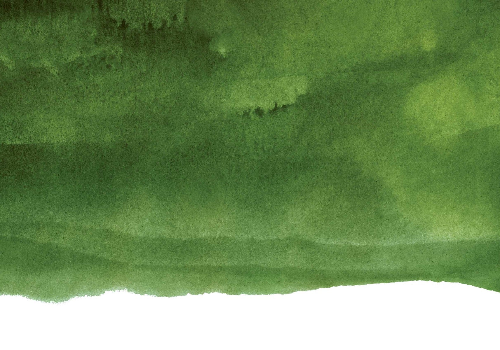 Dark Green Peel and Stick Wallpaper Mural