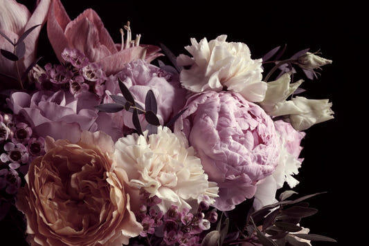 Dark Peonies Background Wide Flower Wallpaper