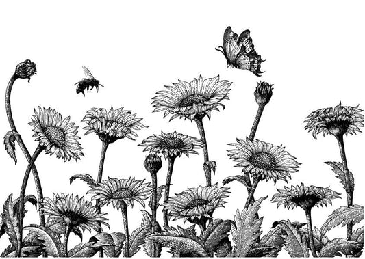 Black and White Daisy Flower Wallpaper