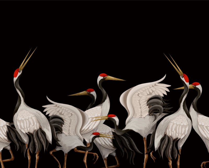 Majestic Crane Dance Wallpaper Murals