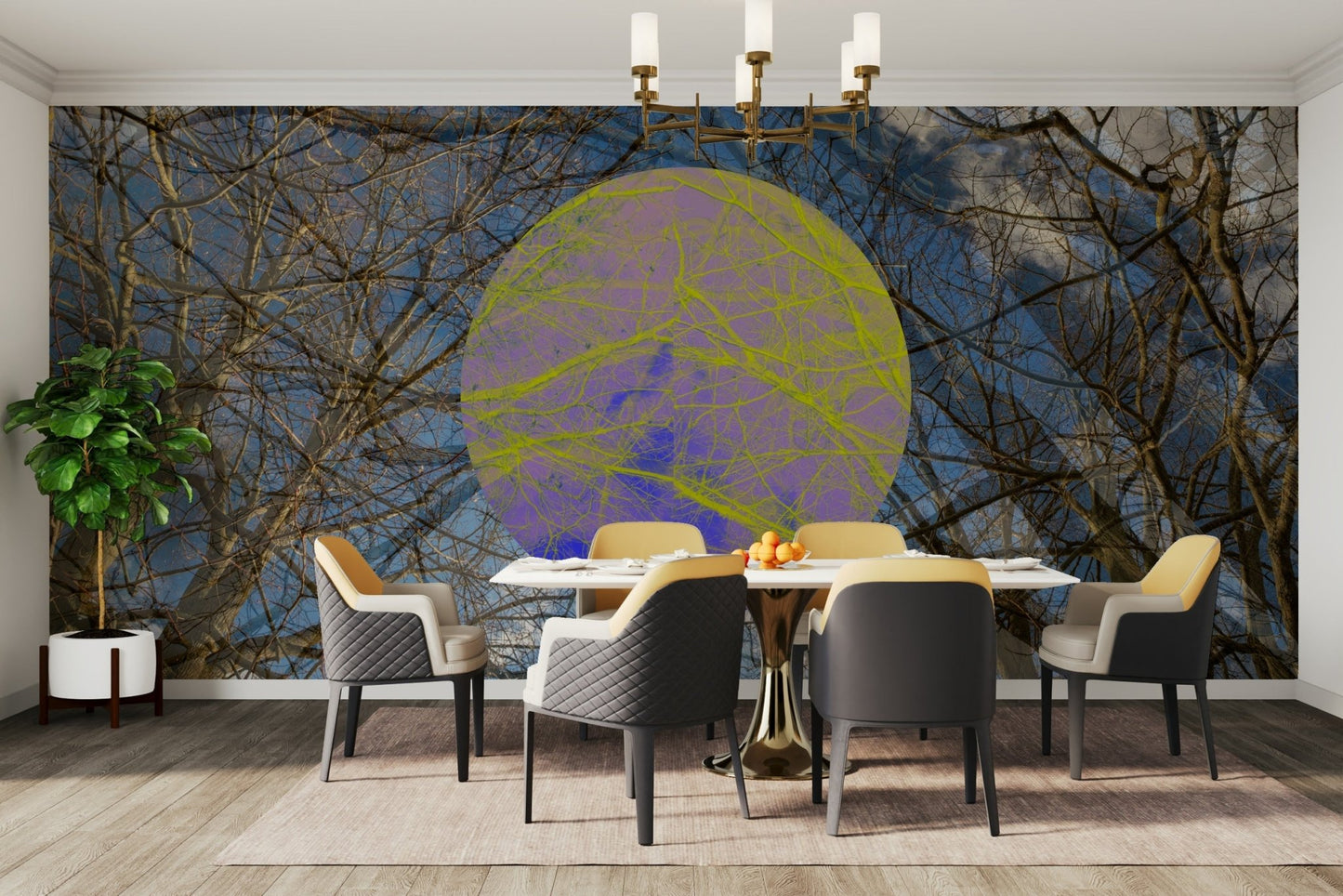 Colorful circular elements.


