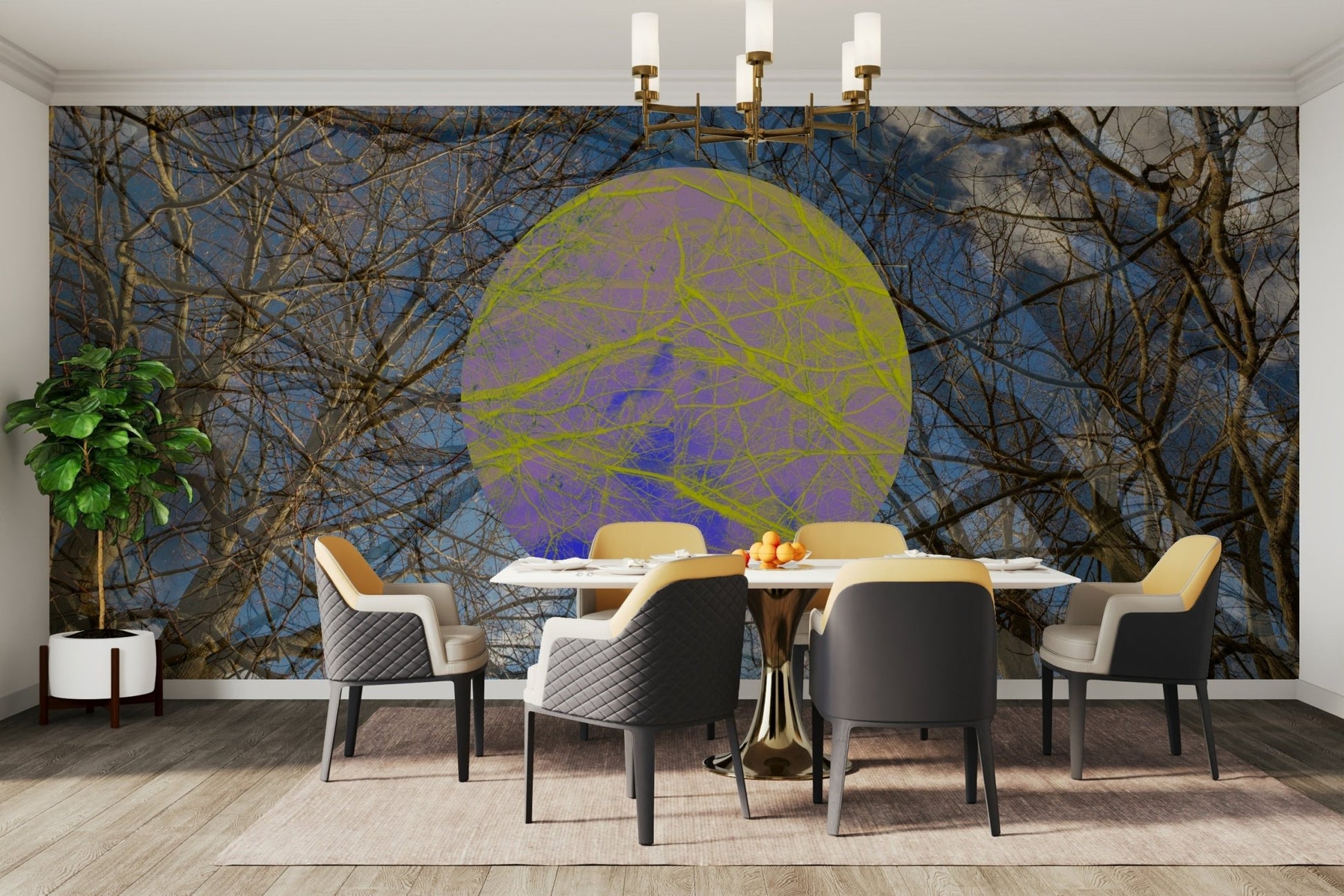 Colorful circular elements.

