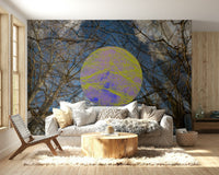 Vibrant and bold color palette.

