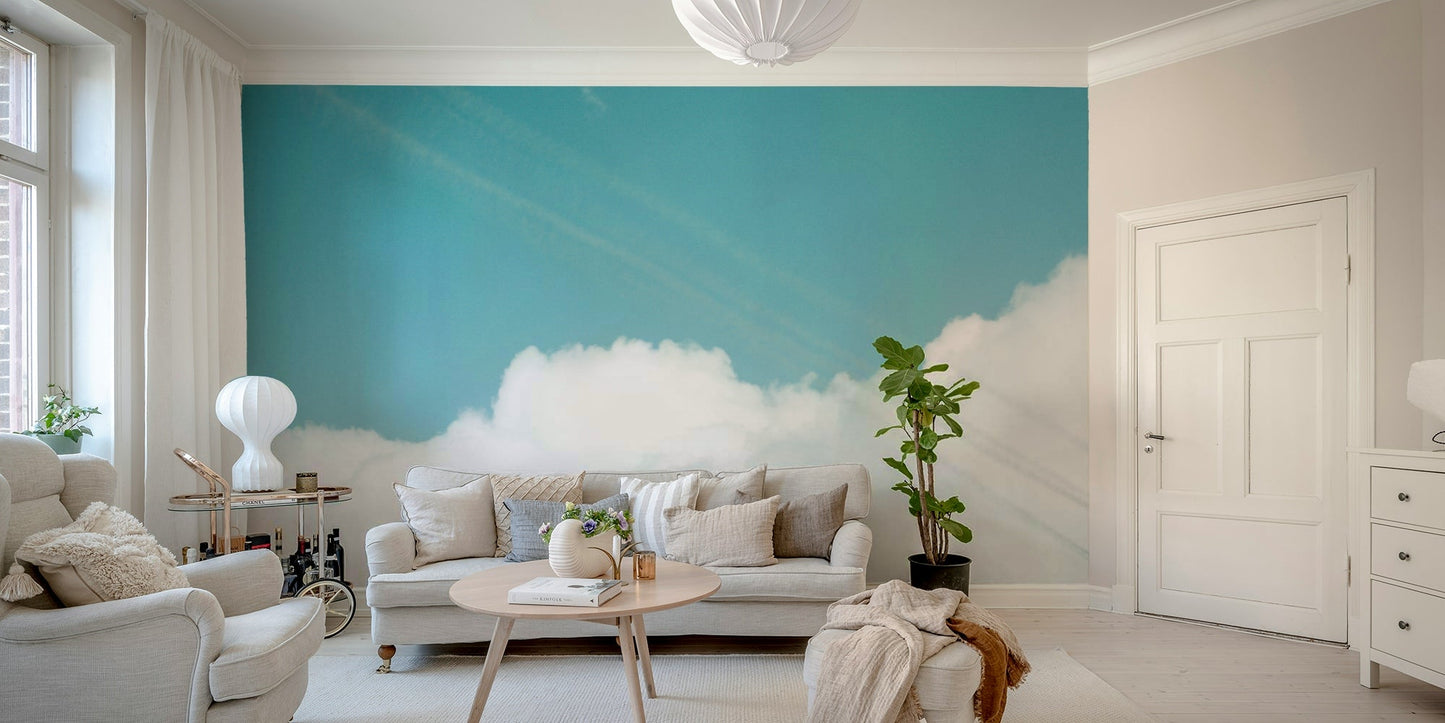 Aerial Show III Wall Mural