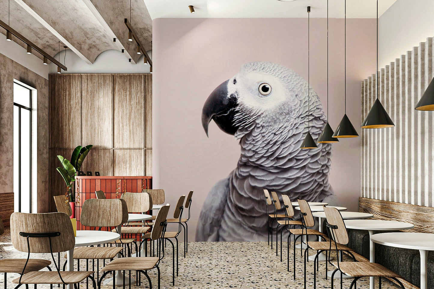 Gentle grey parrot wall design

