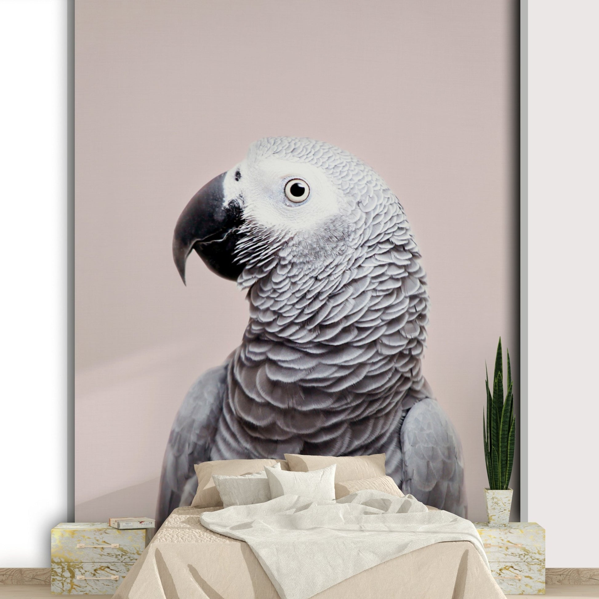 African Grey wall mural design

