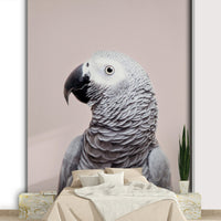 African Grey wall mural design

