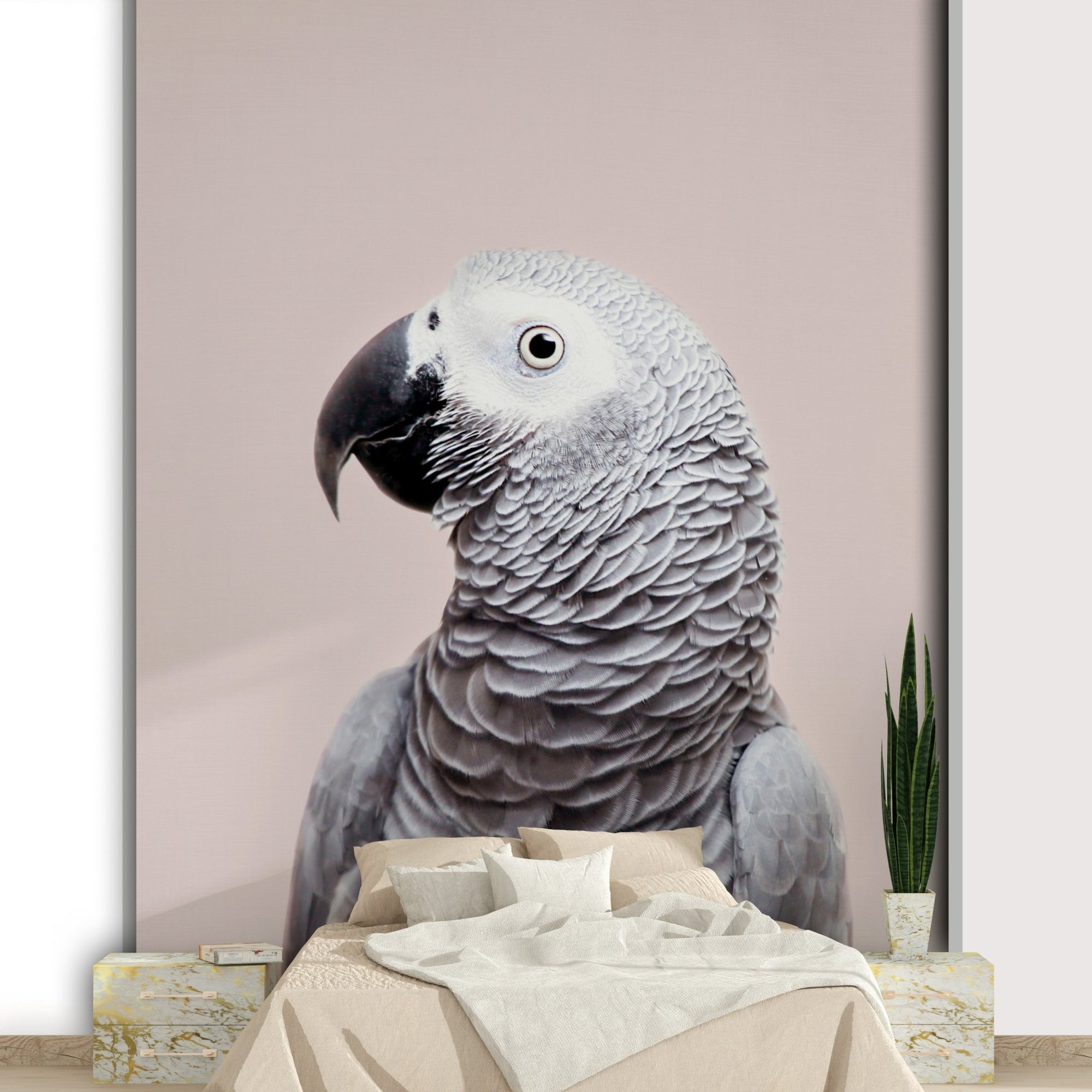 African Grey wall mural design GD721

