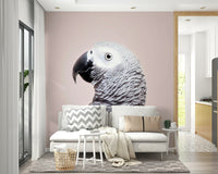 Mural wallpaper with bird focus

