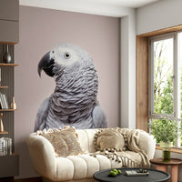 Grey bird wallpaper for walls

