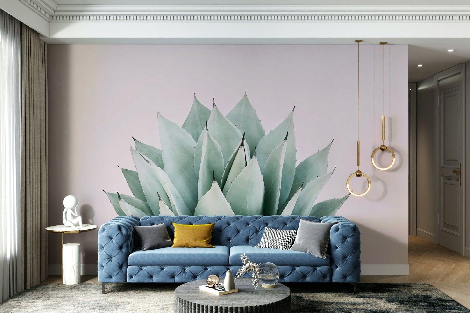Stylish agave plant isolated view GD289

