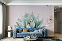 Stylish agave plant isolated view GD289

