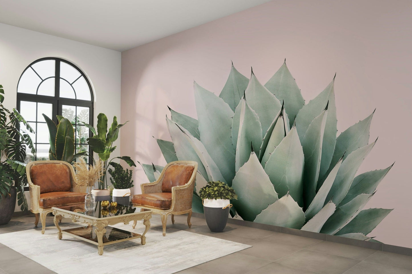 Pastel pink background agave pic GD289

