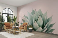 Pastel pink background agave pic GD289

