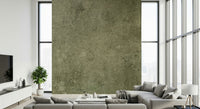 A beautiful modern art wall mural of delicate texture.