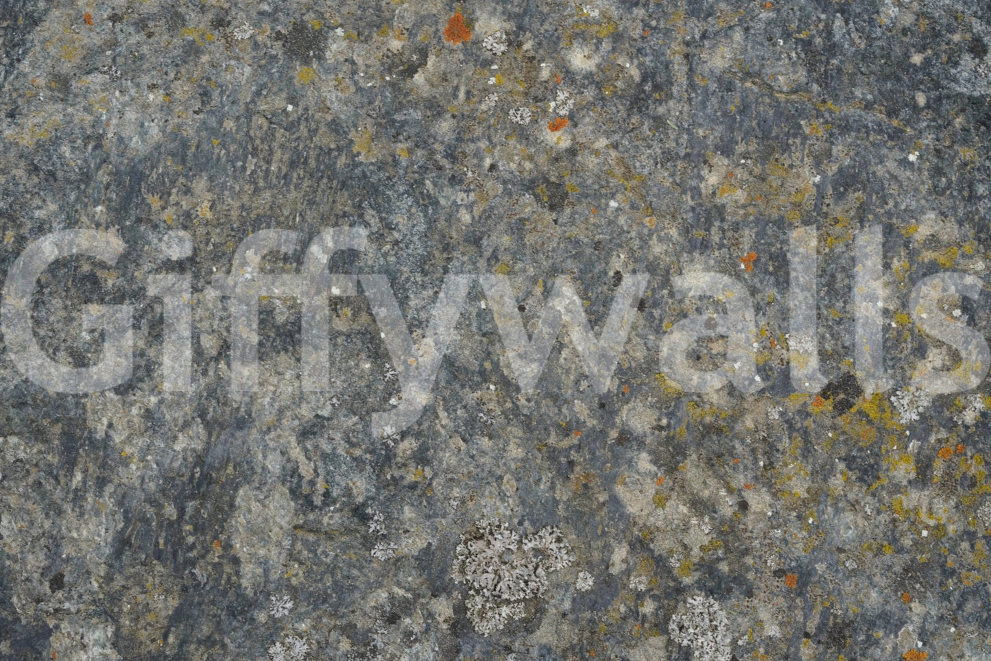 A high-quality minimalist wall mural for walls.