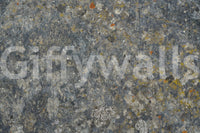 A high-quality minimalist wall mural for walls.