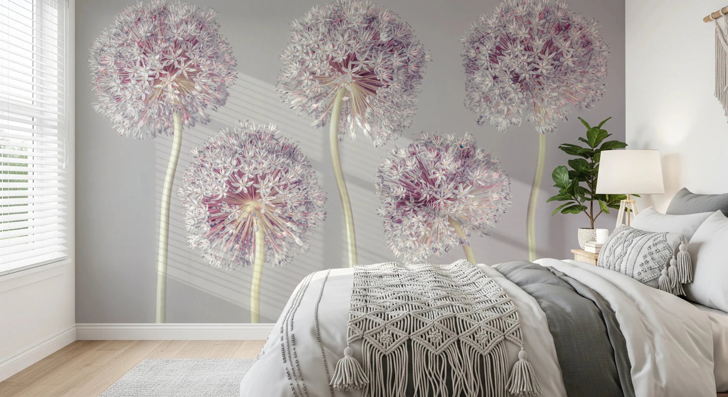 Allium Dreams Wall Mural