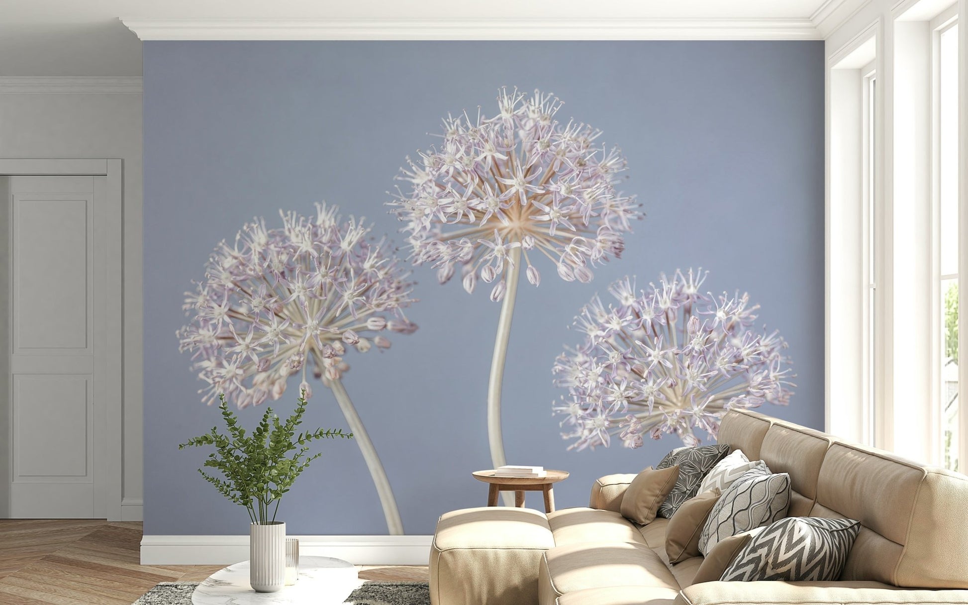 Soft focus Allium Triplet print for walls. Elegant flower pattern.