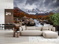 Mountain river wall mural with Alpine Autumn Cascade autumn trees, GD9249
