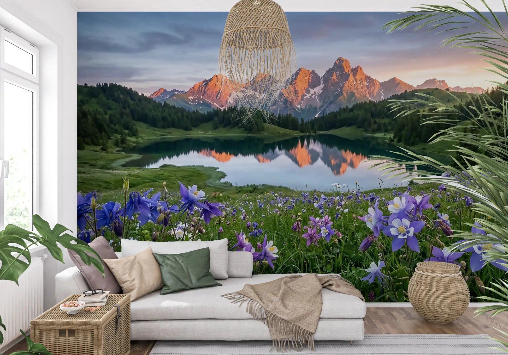 Purple and white columbine flowers fill the foreground of Alpine Glow wall mural.GD9536