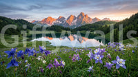 Soft cloudy skies sit above the peaks of Alpine Glow Reflection wall mural.GD9536