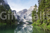 Alpine Reflections wall mural with mirrored lake, pine trees, and snowy mountain peaks