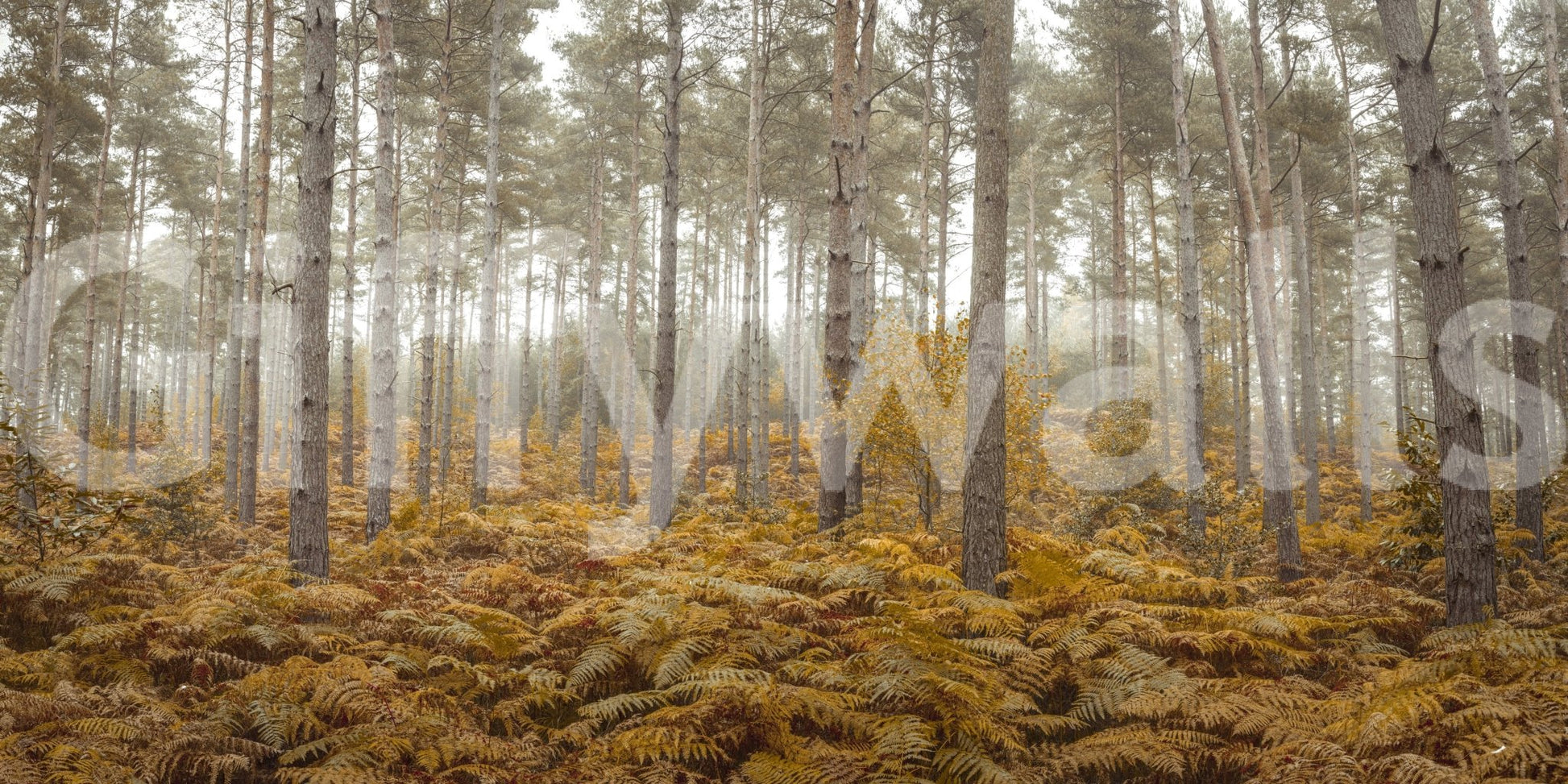 The image is suitable for a bedroom or a living space.