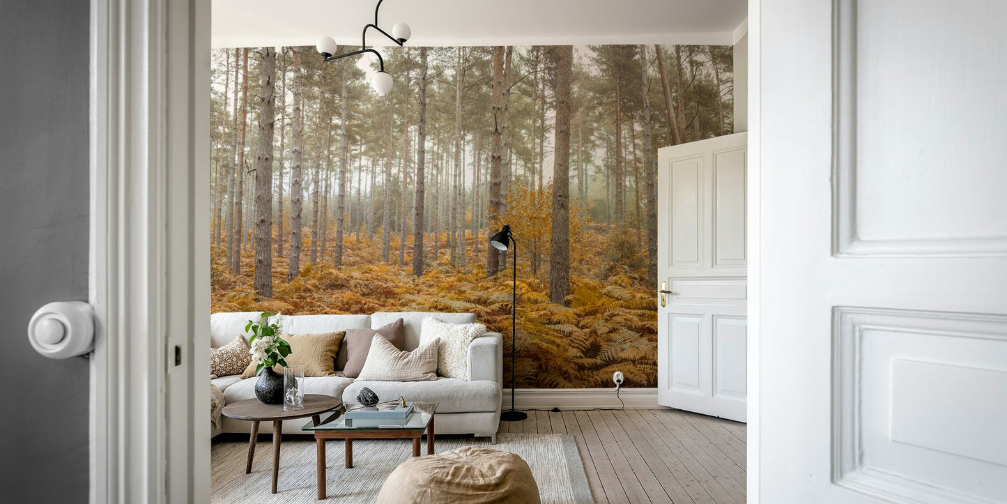 The overall feel is quiet and serene.

