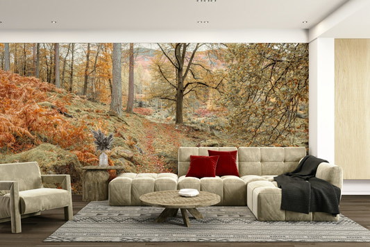 A wall mural of a forest path.

