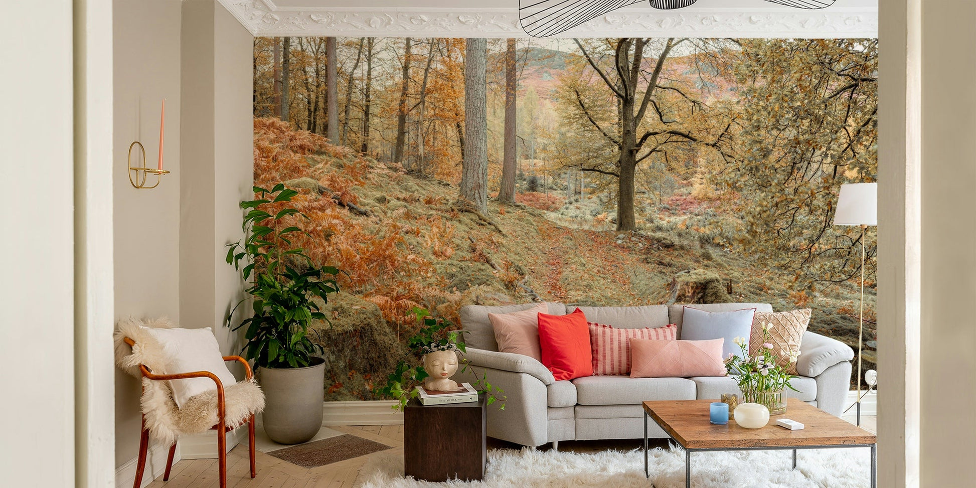 The image is a high-quality photograph.

