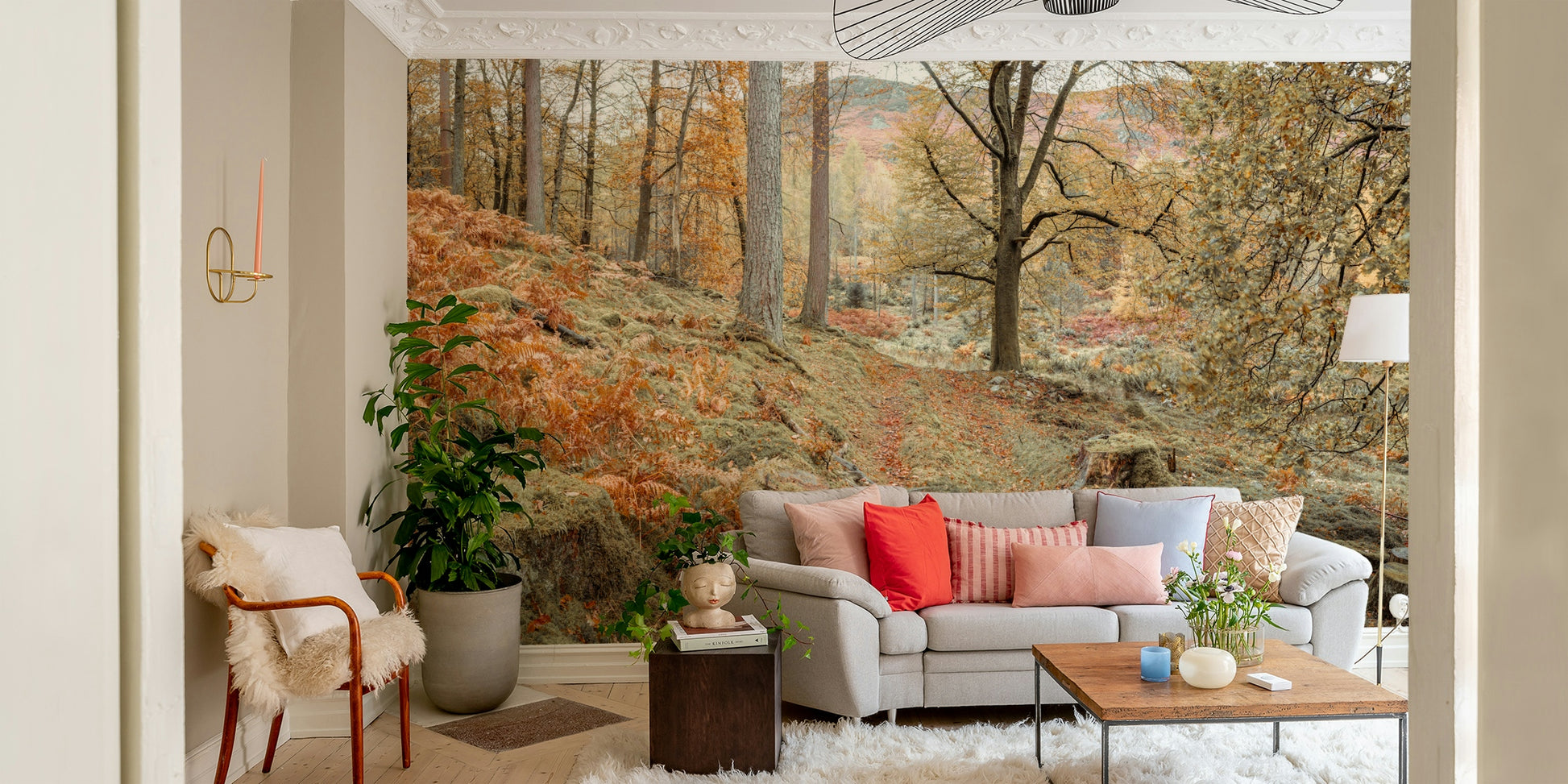 The image is a high-quality photograph.

